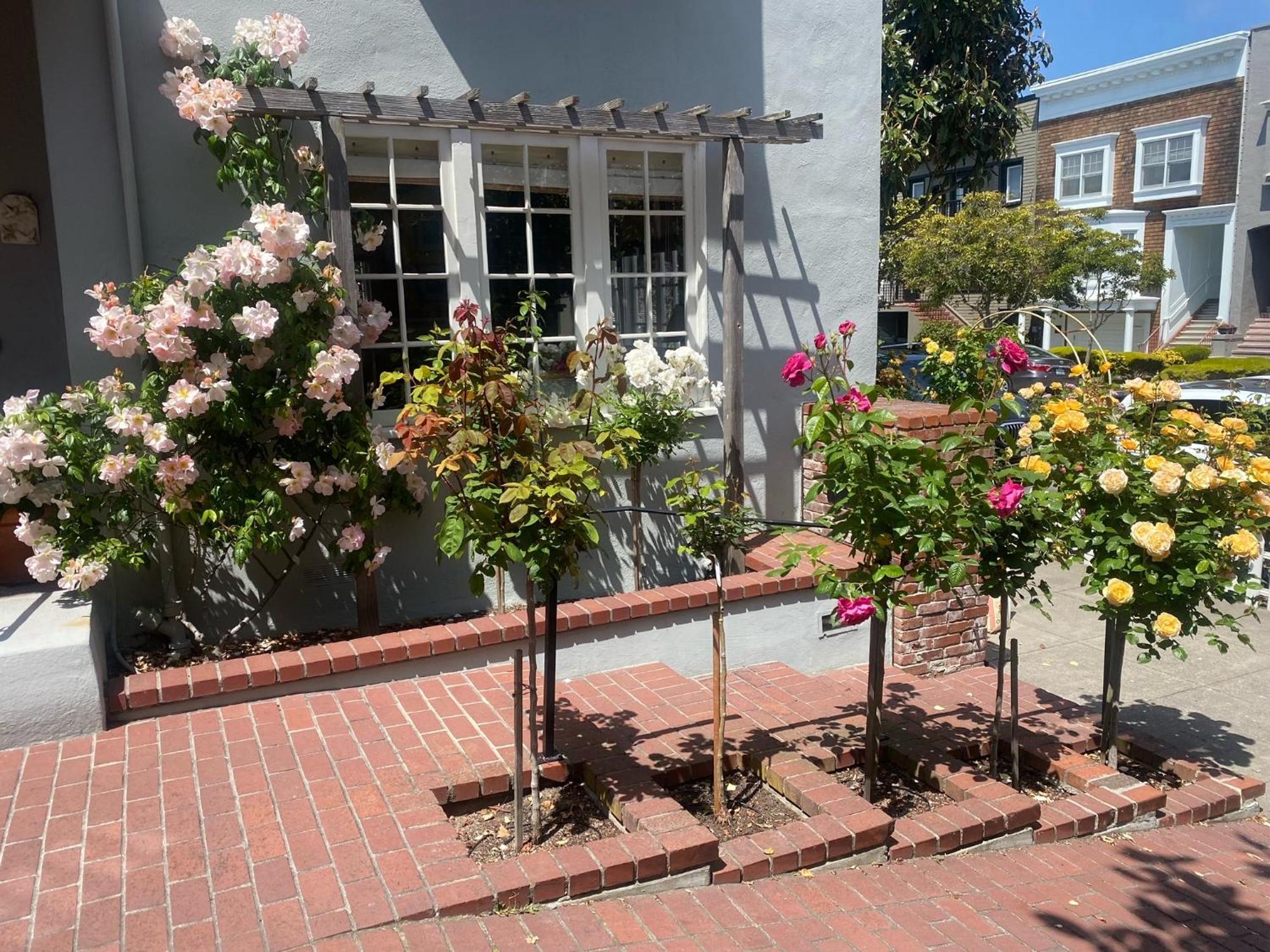 My Rosegarden Guest Rooms Σαν Φρανσίσκο Εξωτερικό φωτογραφία